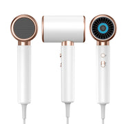 High-speed Hair Dryer Home Negative Ion Hair Salon