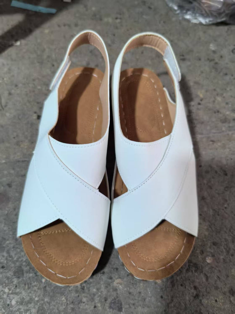 4890170208711,4890170208728,4890170208735,4890170208742,4890170208759,4890170208766,4890170208773,4890170208780