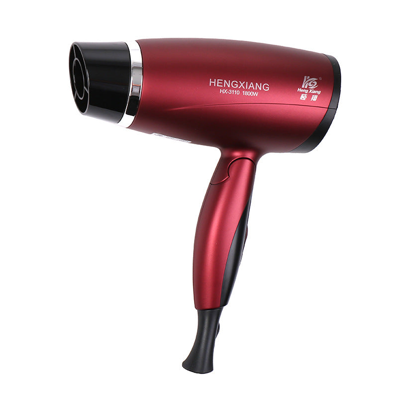 Household Hair Dryer
